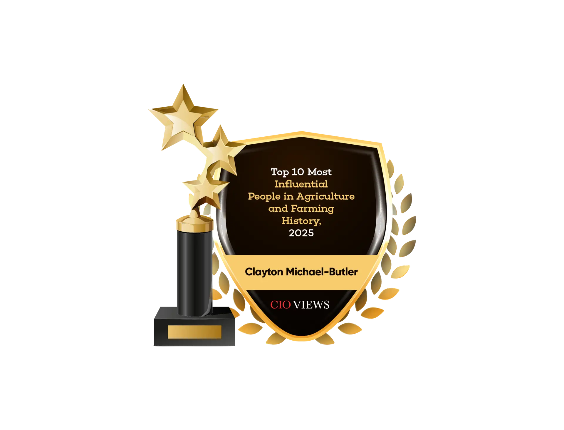 CIO Views award badge